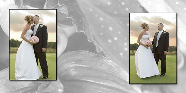 Wedding Albums